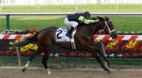 Payton d'Oro wins the Black-Eyed Susan Stakes 