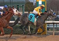 20 February 2009: Conveyance with jockey Martin Garcia wins The Southwest at Oaklawn in Hot Springs, Arkansas 