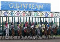 
6 February 2010: Horses out of the gate during Donn Handicap at Gulfstream Park in Hallandale Beach, FL. 