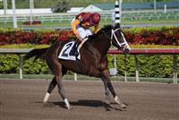 Broadway's Alibi with John Velazquez up winning her 2nd of three starts for trainer Todd Pletcher in the 5th race at Gulfstream Park at Hallandale Beach Florida. December 15 2011 