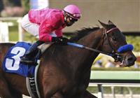 February 13, 2010.Joel Rosario, riding St. Trinians, wins the Santa Maria Handicap at Santa Anita Park, Arcadia, CA 