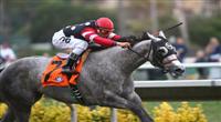 August 6th 2010: Wickedly Perfect and Rafael Bejarano win the Sorrento Stakes(GIII) at Del Mar Race Track in Del Mar CA. 