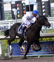 Take Charge Indy