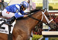 Albertus Maximus captures the 2009 Donn Handicap