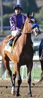 Plum Pretty before the Santa Ynez