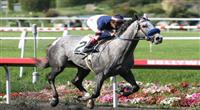 20 June 2009: Grazen and Rafael Bejarano win the 31st running of the Affirmed Handicap (GIII) at Hollywood Park in Inglewood, CA 