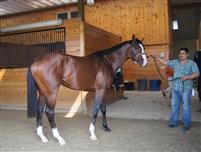 Union Rags
