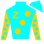 cadmannino Silks