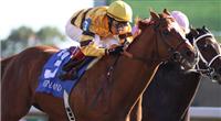 Wise Dan takes the 2010 Phoenix