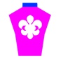 spiritosportivo Silks