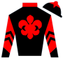 zgirlsrule Silks