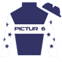 pic-tur6 Silks