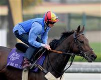 Dar Re Mi before the 2009 Breeders' Cup