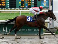 Populist Politics Back to Turf in Dixie Poker Ace