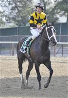 Mr. Fantasy captures the Withers for West Point