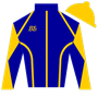 Backstrechblondie Silks