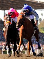 Terrain (3) in the Breeders Cup Juvenile in 2008.