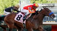 Secret Circle horse