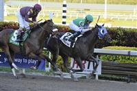 Reveron (no. 2), ridden by Fernando Jara and trained by Augustin C. Bezara, wins the 1st running of the Gulfstream Park Derby for three year olds on January 1, 2012 at Gulfstream Park in Hallandale Beach, Florida. (Bob Mayberger/Eclipse Sportswire) 