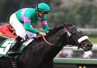January 9, 2010.Niko Bay, riden by Mike Smith and owned by Mr. & Mrs. J.S. Moss, wins The San Pasqual Handicap at Santa Anita Park, Arcadia, CA