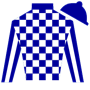 Secretariat1004 Silks