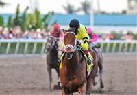 Quality Road wins Donn Hcp.