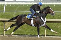 Sweetnorthernsaint works out at Laurel Park, four furlongs in 49.40, May 10, 2007.