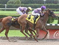 Redbud Road