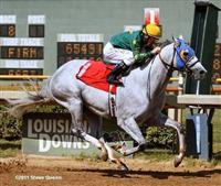 Tidal Volume. Temperence Hill Stake. Louisiana Downs. September 10, 2011