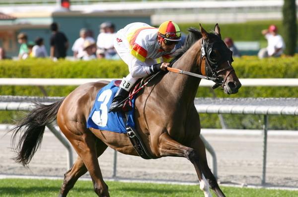 20 March 2010: Bourbon Bay and Rafael Bejarano win the San Luis Rey Handicap(GII) at Santa Anita Park in Arcadia, CA..
