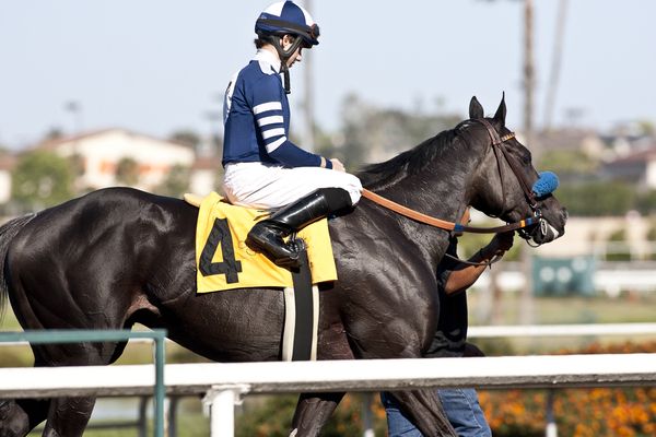 30 May, 2011: Camp Victory and Joe Talamo win the Los Angeles Handicap after Amazombie and Mike Smith are disqualified and placed third at Hollywood Park, Inglewood, CA 