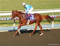 Casino Drive with Victor Espinoza 2008 Breeders Cup