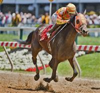 Super Espresso, with Ramon Dominguez up, wins the Allaire Dupont Distaff Handicap on Preakness Day at Pimlico Race Course in Baltimore, Maryland on May 21, 2011 