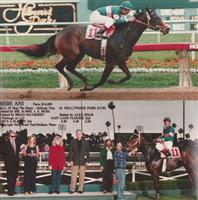 Bebe Ani and Alex Solis winning at Hollywood Park 5/1/95