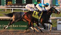 Stonehouse winning  25th Mineshaft Handicap with Miguel Mena at Fair Grounds