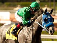 Creative Cause wins the G1 Norfolk