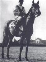 Ribot 1