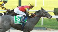 09 25 2010:12- 1 shot My Jen surprises in the 17th running of the Grade II Gallant Bloom at 6 1/2 furlongs, for 3-year old & up, fillies & mares, Belmont Park, Elmont, NY. Trainer Eddie Kenneally. Owners Windmill Manor Farms.