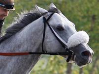 Afleet Again