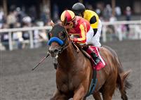Coil, with Martin Garcia aboard, wins the 2011 Affirmed Handicap at Hollywood.