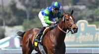 Rail Trip in a Santa Anita score.
