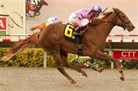 Weemissfrankie Working Well for Oak Leaf