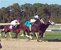 Crimson Knight leads TB Derby, with Watch Me Go, Brethren