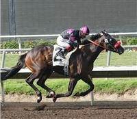 Lava Man wins the 2006 Pacific Classic