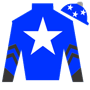 bighouse2025 Silks