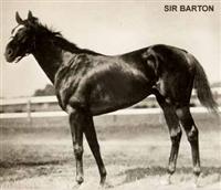 Sir Barton 4