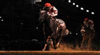 5 November 2010: Unrivaled Belle, ridden by Kent Desormeaux and trained by William I. Mott, cruises to victory in the Breeders Cup Ladies Classic at Churchill Downs in Louisville, KY. (Scott Serio/Eclipse Sportswire)