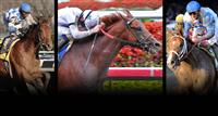 derby prep day