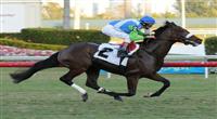 Lentenor breaks maiden at Gulfstream Park. 