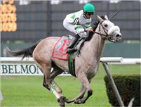 Winter Memories, Jose Lezcano aboard, winning the 2010 Miss Grillo Stakes at Belmont Park.